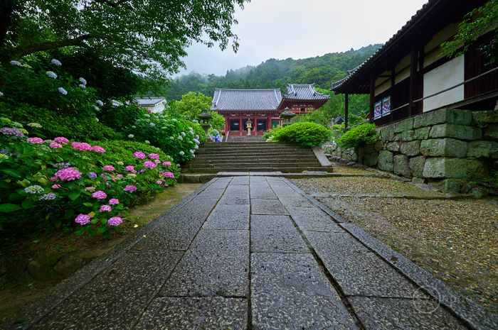 シグマ SIGMA 14mm F1.4 DG DN | Art ／ 奈良 大和郡山 矢田寺の